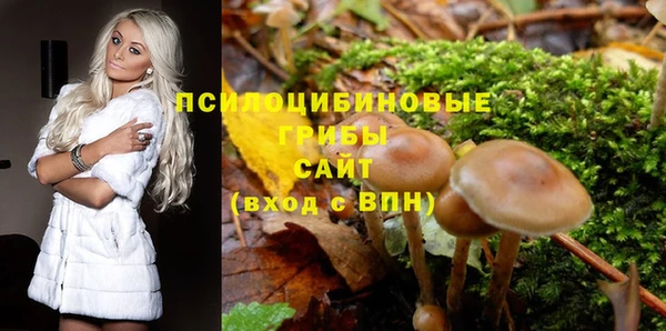 mdpv Абдулино